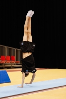 Thumbnail - Italy - Artistic Gymnastics - 2019 - Austrian Future Cup - Participants 02036_02008.jpg