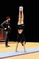 Thumbnail - Team 2 - Gabriele Targhetta - Gymnastique Artistique - 2019 - Austrian Future Cup - Participants - Italy 02036_02035.jpg