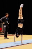 Thumbnail - Team 2 - Gabriele Targhetta - Gymnastique Artistique - 2019 - Austrian Future Cup - Participants - Italy 02036_02036.jpg