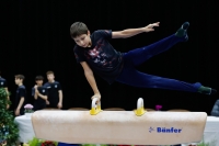 Thumbnail - Bulgaria - Gymnastique Artistique - 2019 - Austrian Future Cup - Participants 02036_02491.jpg