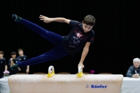 Thumbnail - Bulgaria - Gymnastique Artistique - 2019 - Austrian Future Cup - Participants 02036_02495.jpg
