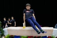 Thumbnail - Bulgaria - Gymnastique Artistique - 2019 - Austrian Future Cup - Participants 02036_02499.jpg