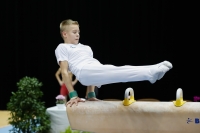 Thumbnail - Finland - Gymnastique Artistique - 2019 - Austrian Future Cup - Participants 02036_03037.jpg