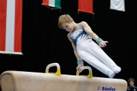 Thumbnail - Ilia Zotov - Ginnastica Artistica - 2019 - Austrian Future Cup - Participants - Russia 02036_03150.jpg