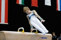 Thumbnail - Ilia Zotov - Ginnastica Artistica - 2019 - Austrian Future Cup - Participants - Russia 02036_03153.jpg