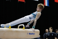 Thumbnail - Ilia Zotov - Ginnastica Artistica - 2019 - Austrian Future Cup - Participants - Russia 02036_03154.jpg