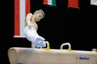 Thumbnail - Savelii Sorochenko - Artistic Gymnastics - 2019 - Austrian Future Cup - Participants - Russia 02036_03169.jpg