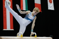 Thumbnail - Ilia Zotov - Ginnastica Artistica - 2019 - Austrian Future Cup - Participants - Russia 02036_03175.jpg