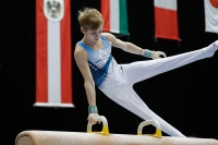 Thumbnail - Russia - Gymnastique Artistique - 2019 - Austrian Future Cup - Participants 02036_03178.jpg