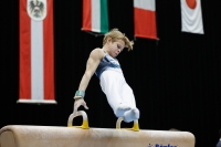 Thumbnail - Russia - Ginnastica Artistica - 2019 - Austrian Future Cup - Participants 02036_03183.jpg