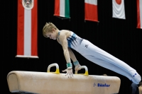 Thumbnail - Ilia Zotov - Artistic Gymnastics - 2019 - Austrian Future Cup - Participants - Russia 02036_03186.jpg