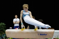 Thumbnail - Ilia Zotov - Gymnastique Artistique - 2019 - Austrian Future Cup - Participants - Russia 02036_03223.jpg