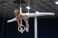 Thumbnail - Ilia Zotov - Artistic Gymnastics - 2019 - Austrian Future Cup - Participants - Russia 02036_03461.jpg