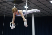 Thumbnail - Ilia Zotov - Artistic Gymnastics - 2019 - Austrian Future Cup - Participants - Russia 02036_03468.jpg