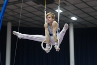 Thumbnail - Ilia Zotov - Gymnastique Artistique - 2019 - Austrian Future Cup - Participants - Russia 02036_03473.jpg