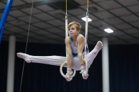 Thumbnail - Ilia Zotov - Artistic Gymnastics - 2019 - Austrian Future Cup - Participants - Russia 02036_03474.jpg