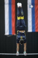 Thumbnail - Luis Il-Sung Melander - Gymnastique Artistique - 2019 - Austrian Future Cup - Participants - Sweden 02036_04380.jpg