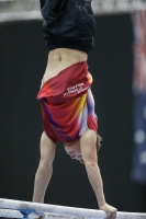 Thumbnail - Belgium - Artistic Gymnastics - 2019 - Austrian Future Cup - Participants 02036_04392.jpg