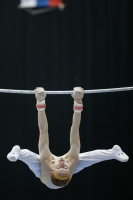 Thumbnail - Peter Eriksson - Gymnastique Artistique - 2019 - Austrian Future Cup - Participants - Sweden 02036_04413.jpg