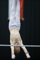 Thumbnail - Peter Eriksson - Gymnastique Artistique - 2019 - Austrian Future Cup - Participants - Sweden 02036_04418.jpg