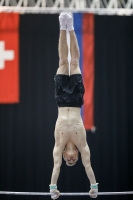 Thumbnail - Germany - Gymnastique Artistique - 2019 - Austrian Future Cup - Participants 02036_04435.jpg