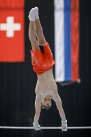 Thumbnail - Germany - Artistic Gymnastics - 2019 - Austrian Future Cup - Participants 02036_04470.jpg