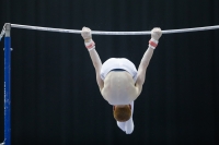 Thumbnail - Peter Eriksson - Artistic Gymnastics - 2019 - Austrian Future Cup - Participants - Sweden 02036_04625.jpg