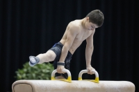 Thumbnail - Slovenia - Artistic Gymnastics - 2019 - Austrian Future Cup - Participants 02036_04776.jpg