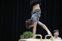 Thumbnail - Slovenia - Artistic Gymnastics - 2019 - Austrian Future Cup - Participants 02036_04782.jpg