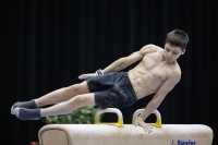 Thumbnail - Slovenia - Artistic Gymnastics - 2019 - Austrian Future Cup - Participants 02036_04788.jpg