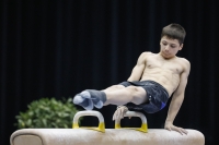 Thumbnail - Slovenia - Artistic Gymnastics - 2019 - Austrian Future Cup - Participants 02036_04789.jpg