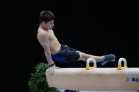Thumbnail - Slovenia - Artistic Gymnastics - 2019 - Austrian Future Cup - Participants 02036_04797.jpg