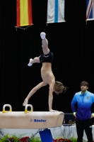 Thumbnail - Alvaro Giraldez - Artistic Gymnastics - 2019 - Austrian Future Cup - Participants - Spain 02036_04839.jpg