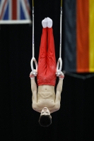 Thumbnail - Germany - Artistic Gymnastics - 2019 - Austrian Future Cup - Participants 02036_05320.jpg