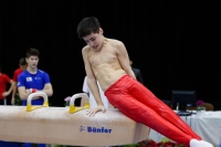 Thumbnail - Germany - Artistic Gymnastics - 2019 - Austrian Future Cup - Participants 02036_05466.jpg