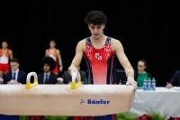 Thumbnail - Netherlands - Ginnastica Artistica - 2019 - Austrian Future Cup - Participants 02036_05910.jpg