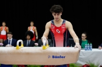 Thumbnail - Netherlands - Ginnastica Artistica - 2019 - Austrian Future Cup - Participants 02036_05911.jpg