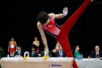 Thumbnail - Netherlands - Artistic Gymnastics - 2019 - Austrian Future Cup - Participants 02036_05913.jpg