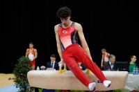 Thumbnail - Netherlands - Ginnastica Artistica - 2019 - Austrian Future Cup - Participants 02036_05918.jpg