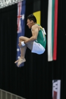 Thumbnail - Jose Caballero - Спортивная гимнастика - 2019 - Austrian Future Cup - Participants - Australia 02036_06711.jpg