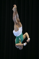 Thumbnail - Jose Caballero - Спортивная гимнастика - 2019 - Austrian Future Cup - Participants - Australia 02036_06714.jpg