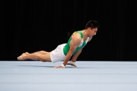 Thumbnail - Jose Caballero - Artistic Gymnastics - 2019 - Austrian Future Cup - Participants - Australia 02036_06738.jpg