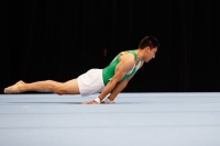 Thumbnail - Jose Caballero - Artistic Gymnastics - 2019 - Austrian Future Cup - Participants - Australia 02036_06739.jpg