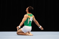 Thumbnail - Jose Caballero - Artistic Gymnastics - 2019 - Austrian Future Cup - Participants - Australia 02036_06740.jpg