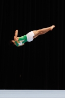 Thumbnail - Jose Caballero - Artistic Gymnastics - 2019 - Austrian Future Cup - Participants - Australia 02036_06752.jpg