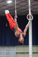 Thumbnail - Netherlands - Artistic Gymnastics - 2019 - Austrian Future Cup - Participants 02036_06872.jpg