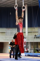 Thumbnail - Netherlands - Gymnastique Artistique - 2019 - Austrian Future Cup - Participants 02036_06911.jpg