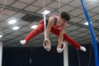 Thumbnail - Netherlands - Ginnastica Artistica - 2019 - Austrian Future Cup - Participants 02036_06919.jpg