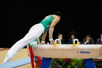 Thumbnail - Jose Caballero - Artistic Gymnastics - 2019 - Austrian Future Cup - Participants - Australia 02036_07222.jpg