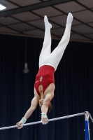 Thumbnail - Sebestyen Markus - Gymnastique Artistique - 2019 - Austrian Future Cup - Participants - Hungary 02036_07308.jpg
